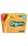Piure Organix Eco, Pulpa de Mere, Mango, 4x95 g, de la 7 luni