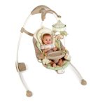 Bright Starts - 2 in 1 Balansoar si Leagan bidirectional