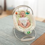 InGenuity – Balansoar Gentle Automatic Bouncer – Seneca