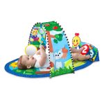 Baby Einstein – Salteluta de activitati Omida si Tunelul Veseliei