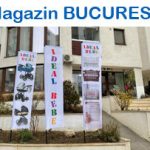 MAGAZIN IDEAL BEBE BUCURESTI
