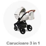 CARUCIOARE COPII 3 in 1