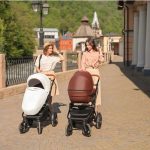 Carucior 3 in 1 Topaz Lux Brown - Krausman - Testat ADAC - Image 12