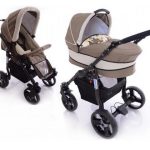 Mystroll - Carucior 2 in 1 Paloma