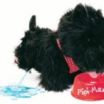 Catelus PIPI MAX Negru