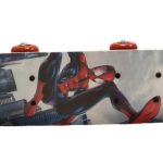 Skateboard Spiderman